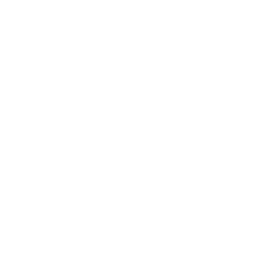 Courage Icon